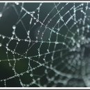 송악리조트 이미지