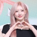 라미투어 이미지