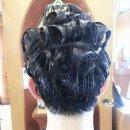 윤정선미용실 이미지