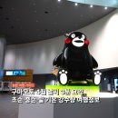 강우사우나 | 4월 구마모토 날씨 초 중순 말 비교 봄 벚꽃 여행 준비