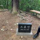청주머렐 | 2026 KOREA 50K 춘천 CC20 트레일러닝 대회 후기