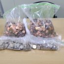 웰빙마트 이미지