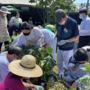 팍스메디칼 이미지