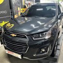 유로게러지 이미지