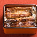 풍천장어 이미지