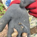 솔빛숲유치원 이미지