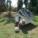 외돌개 나라 이미지