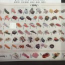 스시선 - 성남시 수정구 산성대로 267 | [평택역 맛집] 평택 회전초밥 맛집! 신선함이 가득한 스시선 후기