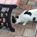 이룸메디 | 착상성공 : 동결배아이식(PGT통배 1개) 과정과 5일차 첫임테기 확인 매직아이부터 8일차까지 후기 기록!