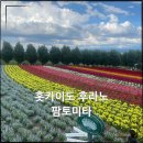 와이비에스팜(주) | 홋카이도명소 비에이 후라노 팜토미타 라벤더 꽃구경 좋은 계절과 즐기는 꿀팁
