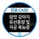 행복동물의료센터 이미지