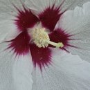 학운공원내 이미지