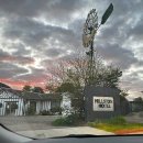 2024-주220 | 호주 NSW 외곽 지역 힐스톤 샴락 레스토랑 요리사 세컨비자 취득 후기