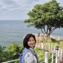 하얀낭만 Daum카페