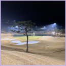 하늘그린(주) | 골린이 주목! 그린이 상당히 어려운 세레니티 cc 리뷰
