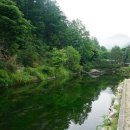 솔치송어파티 이미지