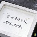 홍백화방