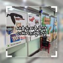 파충류샵 렙타일스테이션 | 새솔동 파충류샵 추천｜디케이지렙타일 첫 게코 입양 후기