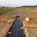 용전농장 이미지