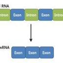 CW-2260-01 이미지