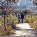 다운목장 이미지