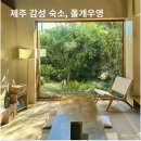 폴개우영 | 제주 감성 숙소 &#39;폴개우영&#39; | 자연 속에서 즐기는 웰니스 힐링 여행