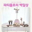 셀프 백일상 대여 파티플로리 고운달 후기