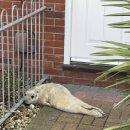 (주)바다출동 이미지