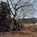 보룡1리 이미지