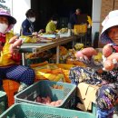 농촌진흥청 국립식량과학원 이미지