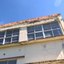 장성신흥중학교 이미지