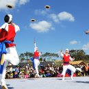 강성호 반려견 스쿨 이미지