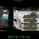 썬렉스 이미지
