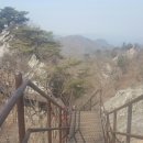 청풍호로 Daum카페