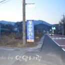 궁근정초 이미지