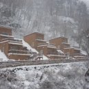 수도산 자연휴양림 이미지