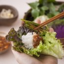 상추 카카오 검색결과