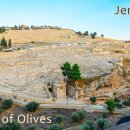 예루살렘: 감람산, 겟세마네, 금문, 사자문, 다마스쿠스 문 이미지