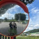 모현야영장 이미지