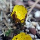 나무이야기 이미지