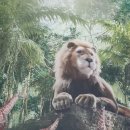 이마트24대공원호반점 | 23개월 아기랑 서울대공원 원더파크 다녀온 후기