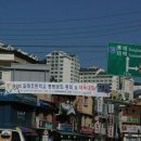 갈래초등학교 이미지