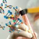 (주)셀포인트 이미지