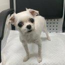 공세초등학교 이미지