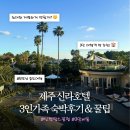 시티콘가족호텔제주 | [제주신라호텔] 3인가족 제주 신라호텔 숙박 후기 🍊｜신라호텔 저렴하게 예약하기 ・ 3인방 추천...