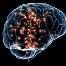 아지동물병원 이미지