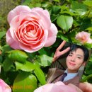 장미꽃은 보검님에게 너무 잘 어울립니다🌹 이미지