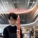 요거트퍼플목포 이미지