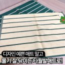 홍대코지그린하우스 | 모던하우스 코지 스트라이프 타월발매트 그린 구매후기 - 다이소 미끄럼방지 시트 매트 함께 사용