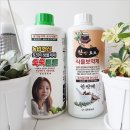 액체비료 액상비료 화초 화분영양제 추천 및 주는법